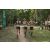 Team 10 / Raid l'Arbre Vert - Trek 17 km