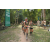 Team 39 / Raid l'Arbre Vert - Trek 17 km