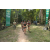 Team 09 / Raid l'Arbre Vert - Trek 17 km