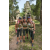 Team 26 / Raid l'Arbre Vert - Trek 17 km