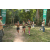 Team 40 / Raid l'Arbre Vert - Trek 17 km
