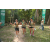 Team 40 / Raid l'Arbre Vert - Trek 17 km