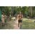 Team 57 / Raid l'Arbre Vert - Trek 17 km