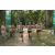 Team 19 / Raid l'Arbre Vert - Trek 17 km