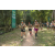 Team 67 / Raid l'Arbre Vert - Trek 17 km