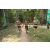 Team 79 / Raid l'Arbre Vert - Trek 17 km