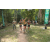 Team 38 / Raid l'Arbre Vert - Trek 17 km