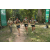 Team 30 / Raid l'Arbre Vert - Trek 17 km