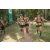 Team 54 / Raid l'Arbre Vert - Trek 17 km