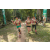 Team 62 / Raid l'Arbre Vert - Trek 17 km
