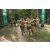 Team 43 / Raid l'Arbre Vert - Trek 17 km