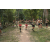 Team 21 / Raid l'Arbre Vert - Trek 17 km