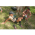 Raid l'Arbre Vert - Trek 17 km