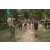Team 31 / Raid l'Arbre Vert - Trek 17 km