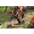 Raid l'Arbre Vert - Trek 17 km