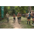 Team 56 / Raid l'Arbre Vert - Trek 17 km