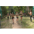 Team 77 / Raid l'Arbre Vert - Trek 17 km