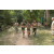 Team 23 / Raid l'Arbre Vert - Trek 17 km