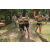 Team 80 / Raid l'Arbre Vert - Trek 17 km