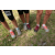 Raid l'Arbre Vert - Trek 17 km