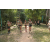 Team 73 / Raid l'Arbre Vert - Trek 17 km