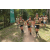 Team 25 / Raid l'Arbre Vert - Trek 17 km