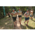 Team 29 / Raid l'Arbre Vert - Trek 17 km