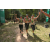 Team 50 / Raid l'Arbre Vert - Trek 17 km