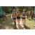 Team 65 / Raid l'Arbre Vert - Trek 17 km