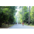 Raid l'Arbre Vert - Trek 17 km