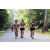 Team 85 / Raid l'Arbre Vert - Trek 17 km