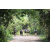 Raid l'Arbre Vert - Trek 17 km