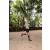 Team 10 / Raid l'Arbre Vert - Trek 17 km