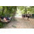 Raid l'Arbre Vert - Trek 17 km