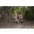 Team 39 / Raid l'Arbre Vert - Trek 17 km