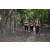 Team 13 / Raid l'Arbre Vert - Trek 17 km