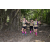 Team 57 / Raid l'Arbre Vert - Trek 17 km