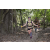 Team 53 / Raid l'Arbre Vert - Trek 17 km