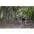 Team 44 / Raid l'Arbre Vert - Trek 17 km