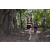 Team 67 / Raid l'Arbre Vert - Trek 17 km