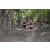 Team 38 / Raid l'Arbre Vert - Trek 17 km