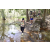 Raid l'Arbre Vert - Trek 17 km