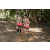 Team 21 / Raid l'Arbre Vert - Trek 17 km