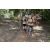 Team 15 / Raid l'Arbre Vert - Trek 17 km
