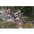 Team 52 / Raid l'Arbre Vert - Trek 17 km