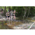 Team 77 / Raid l'Arbre Vert - Trek 17 km