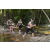 Team 80 / Raid l'Arbre Vert - Trek 17 km