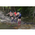 Raid l'Arbre Vert - Trek 17 km