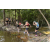 Raid l'Arbre Vert - Trek 17 km