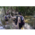 Raid l'Arbre Vert - Trek 17 km